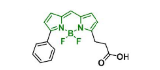 BDP R6G carboxylic acid，174881-57-3(图1)