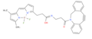 DBCO-BODIPY FL(图1)