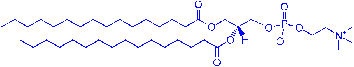 63-89-8，DPPC（1,2-二棕榈酰-sn-甘油-3-磷酰胆碱）