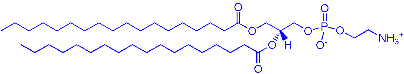 816-94-4，DSPC（1,2-二硬脂酰基-sn-丙三基-3-磷酸胆碱）(图1)